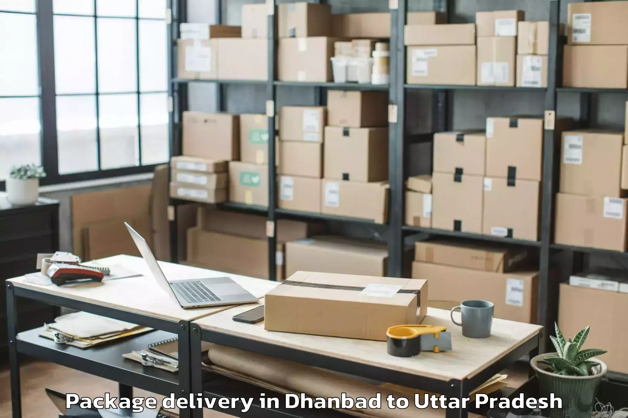 Book Dhanbad to Talbehat Package Delivery